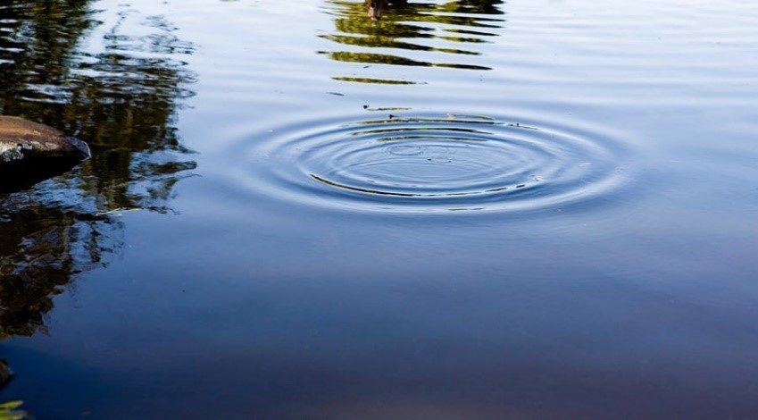 Ripples On A Pond by Rapideye